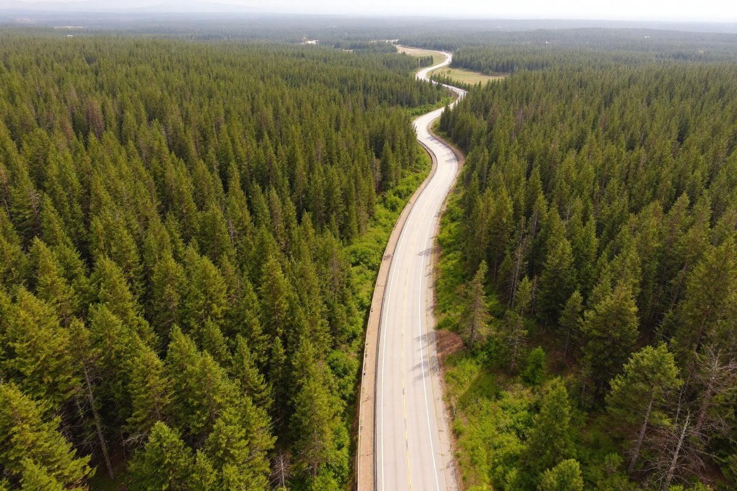Guide complet du Mount Rushmore National Memorial, Dakota du Sud