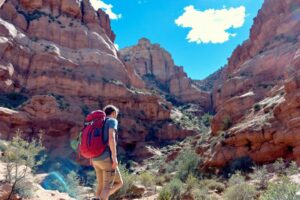 Guide complet du parc national de Zion en Utah