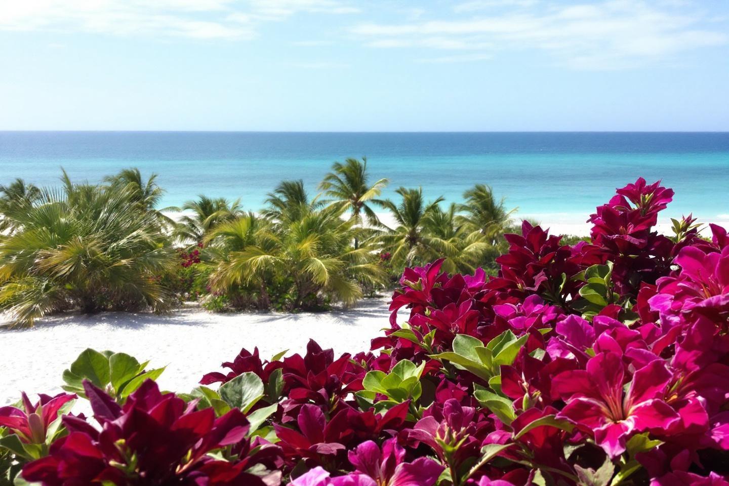 Les plus belles plages et lieux paradisiaques de Floride