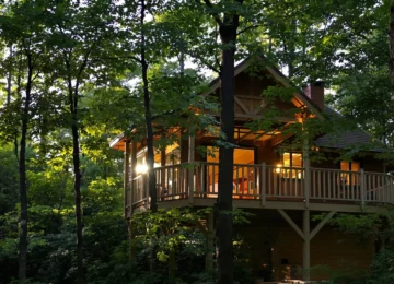 Cabane en bois perchée dans une forêt, éclairée à la tombée du jour