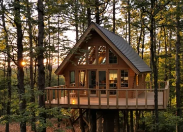 Cabane perchée éclairée dans une forêt française au coucher du soleil